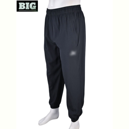 Спортивные брюки BIG 4034-A14-3 grey