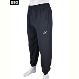 Спортивные брюки BIG 4034-A14-3 grey