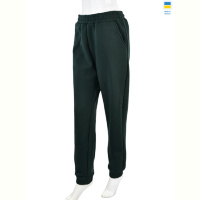 Спортивные брюки Banko 002-1 green
