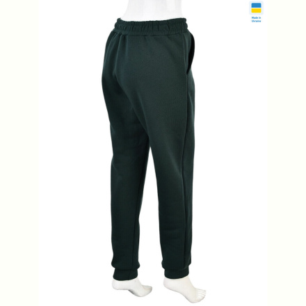 Спортивные брюки Banko 002-1 green