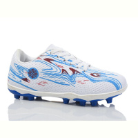 Футбольная обувь ASHIGULI 02-24 white