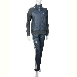 Спортивный костюм Obuvok Ж433 (04273) grey флис