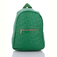 Рюкзак David Polo 2067-8 green