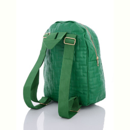 Рюкзак David Polo 2067-8 green