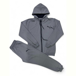 Спортивный костюм Verton 250P сірий