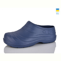 Галоши Lot Shoes Б06 синій