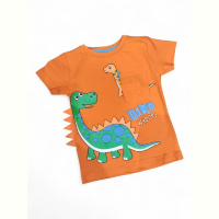 Футболка Kids-modnik 5091 помаранчевий