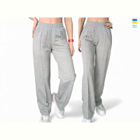 Спортивные брюки Sport style 10048 св.сірий